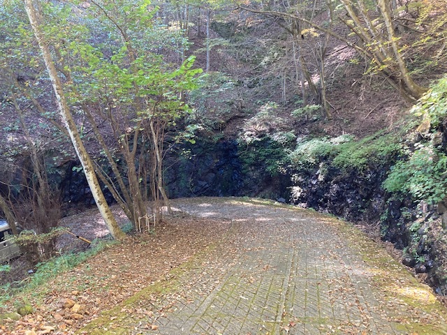 溶岩石_d0035921_08052693.jpg